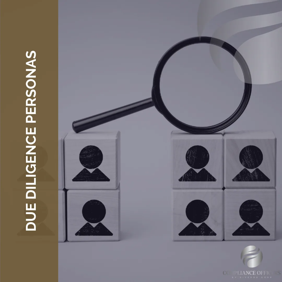 DUE DILIGENCE