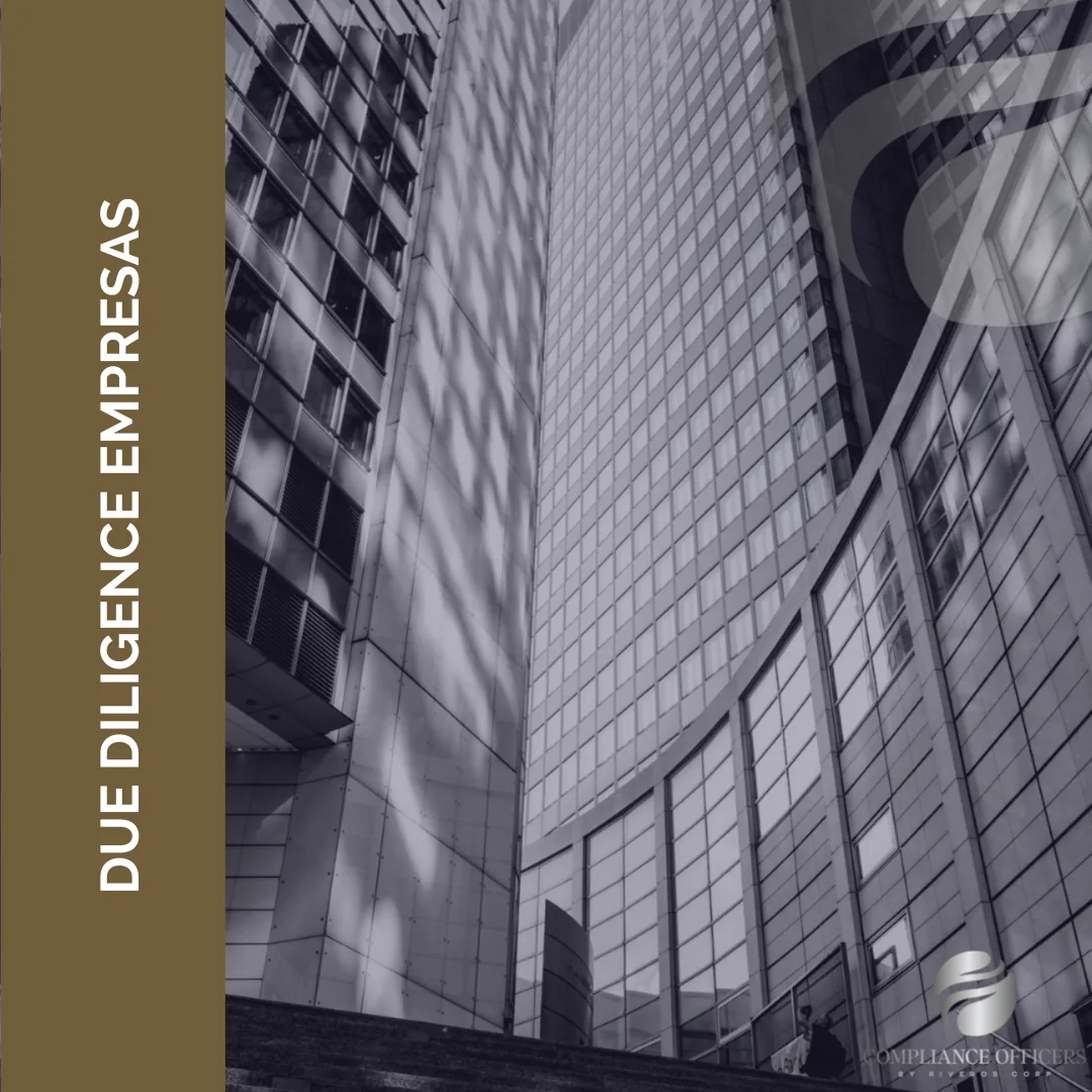 DUE DILIGENCE